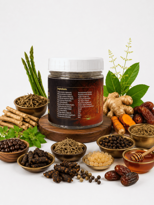 Best Vitality Booster in Kerala| Sugha Sanjeevani